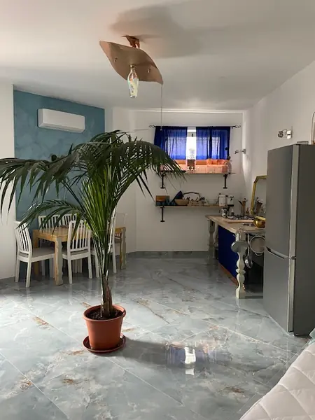 Soggiorno del bilocale Natura con palma, tavolo da pranzo e angolo cottura